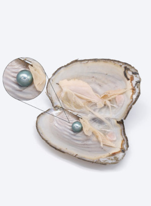 Pearl Powder (Pure, Fine, 200 Mesh)