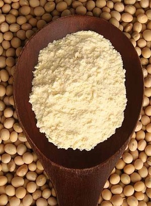 Hydrolyzed Soy Protein (Powder)