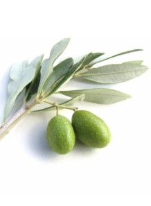 Olive CLEAR (Hydrogenated...