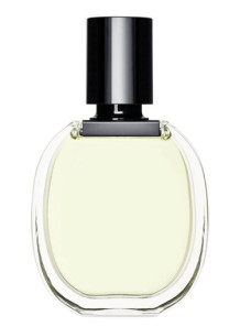 Tam Dao (Benchmark - Diptyque)