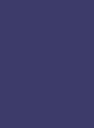 Brilliant Black BN (CI 28440) (Water-Soluble)