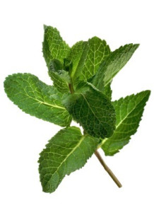  Spearmint Oil (China, Sweet)