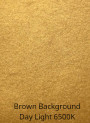  Light Gold Pearl Mica (Size A, 30 Micron)