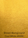  Gold Pearl Mica (Size A, 50 Micron)