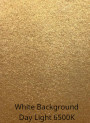  Gold Glitter Mica (Size B, 60 Micron)