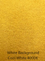  Gold Glitter Mica (Size B, 60 Micron)