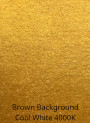  Gold Glitter Mica (Size B, 60 Micron)