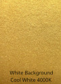  Gold Glitter Mica (Size B, 80 Micron)