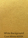  Gold Sparkle Mica (Size C, 100 Micron)