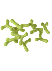 Bacillus Coagulans (100 billion/g) (Freeze-dried)