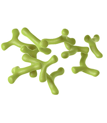 Bifidobacterium longum (200 billion/g) (Freeze-dried)