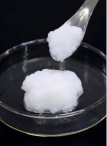  Nanocellulose Fibril (D50=100-150micron, L=100-1000micron, W=0.2-20micron, 2.5%)