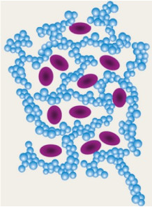  Oil-Fix™ W (Oil/Silicone, Silica Dimethyl Silylate)