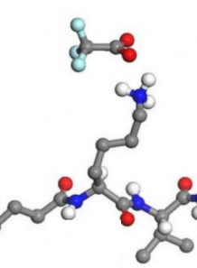 Syn®-Coll (Palmitoyl tripeptide-5)