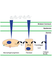 Beta Glucan 90% (Oat...