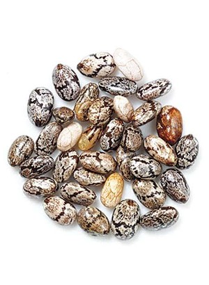 Chia Seed Oil (Refined)