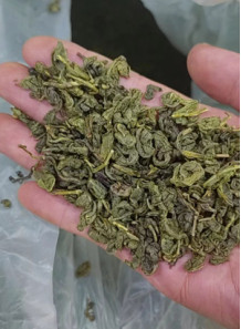 Green Tea Leaves (Dried, China - Green Spring Snail)