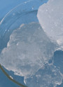 Cationic Nanocellulose (0.5mmol/g, Length 100-5000micron, Width 1-20micron, 0.98%)