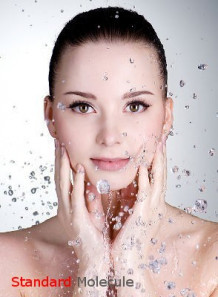 Hyaluronic Acid (Standard Molecule)