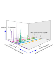 LC/MS/MS (Quadrupole...