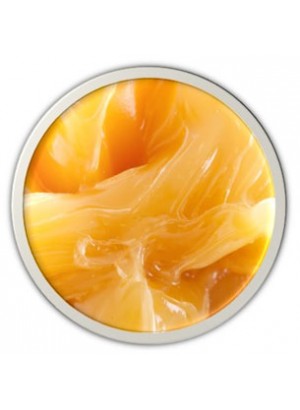 Lanofree™ (Synthetic Lanolin)
