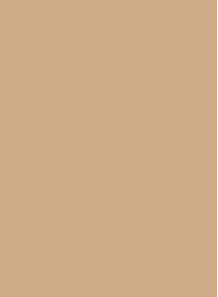 Compact Powder﻿ Foundation Base (2 - Yellow Medium) (Benchmark - Jao Nang)