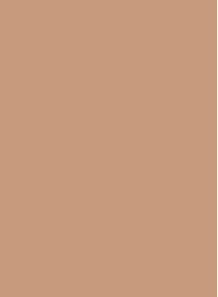 Compact Powder﻿ Foundation Base (3 - Honey) (Benchmark - Jao Nang)