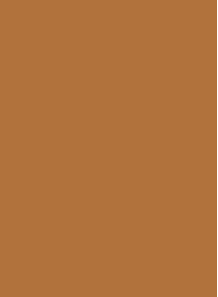 Compact Powder﻿ Foundation Base ( 4 - Dark )
