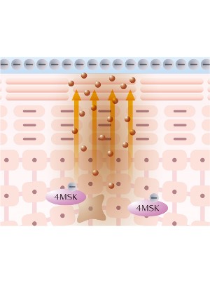 4MSK (Potassium Methoxysalicylate)
