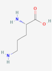 L-Ornithine HCL