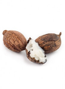 Babassu Oil (Organic)