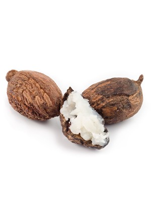 Babassu Oil (Refined)