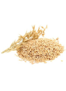  Avena sativa (Oat) Extract (Oil Soluble) น้ำมันข้าวโอ๊ตสกัด