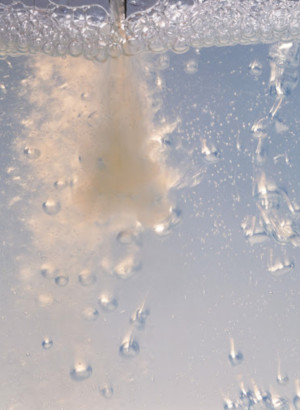 Stop-Foam™ (Anti-Foaming Powder)