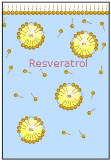 Micromul™ Resveratrol (Resveratrol microemulsion)