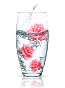Rose Water (Rosa Damascena)