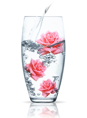 Rose Water (Rosa Damascena)