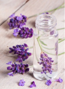 Lavender Water (Lavandula Angustifolia)