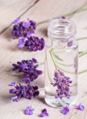 Lavender Water (Lavandula Angustifolia)