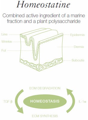 Homeostatine™