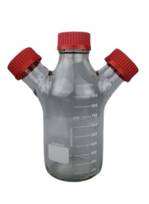 Reactor (1000ml, 3-neck)