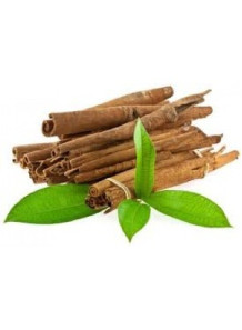 Cinnamon Leaf Oil (Sri Lanka)