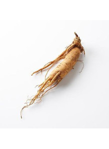 Ginseng Oil (Natural...