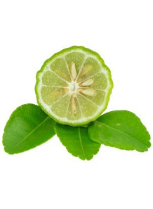  Bergamot Essential Oil (Fruit, Italy)