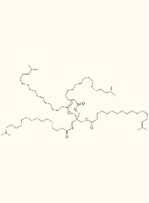  Pentaerythrityl Tetraisostearate