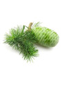 Cedarwood Oil (Virginian)