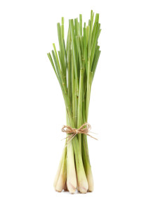 Citronella Oil (Synthetic, Economy)