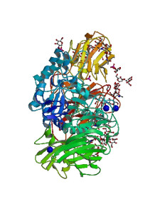 Beta-Galactosidase Enzyme...