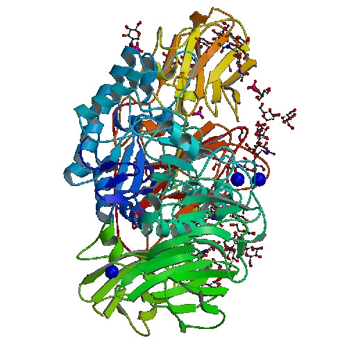 Beta-Galactosidase Enzyme (100,000U/g)