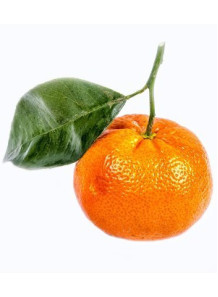Tangerine Oil (Italy)